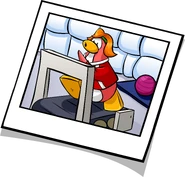 As seen in the Yearbook 2007-2008, along with The Sportster, Treadmill, Exercise Ball, and Blue Gym Mat