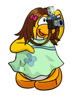 101days 1.png (9 kB) Sue