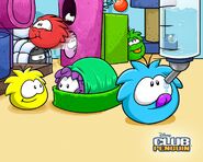 A wallpaper with Yellow Puffle in it