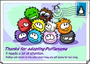Adopted Puffle 2011 postcard