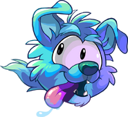 Dog Puffle Running