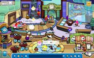 Puffle Play Zone