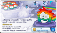 When a non-member tried to buy a rainbow puffle