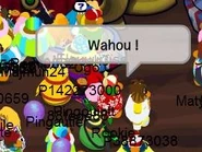 ROOKIE meet.jpg (17 KB) Rookie spotkany na francuskim serwerze w Puffle Circus