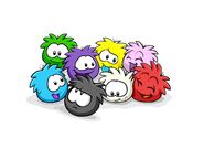 Con otros puffles