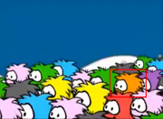 Wow an orange puffle!!