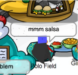 Polo Field spotted in Club Penguin.