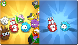 Soporte de Super Club Penguin on X: Isla 5 is Club Puffle. An universe  where the puffles are the dominant and the penguins are mascots. Puffle  Costumes are available in all rooms.