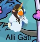 Alli gatr 16