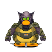 A penguin dressed up as Zeb Orrelios