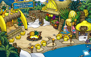 10th Anniversary Party Cove 2