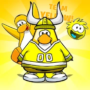 A typical Team Yellow member