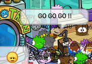 PH spotted during Puffle Party 2012.