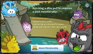 MembershipPopupPrehistoricParty2014Note1.png (363 KB) When a non-member tried to hatch a Dinosaur Puffle