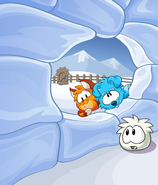 Puffle Dog and Cat