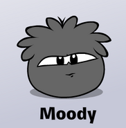 OMG IS MY BLACK PUFFLE FINALLY GONNA SMILE????