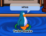 Turbo Sharks Whoa