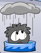 Another Black Puffle taking a bath