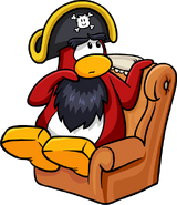 Rockhopper sitting on a chair