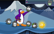 Todos los puffle snegros salvadios