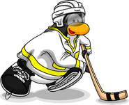 As seen in the December 2011 Snow and Sports catalog, along with the Hockey Helmet, Yellow Away Hockey Jersey, and Hockey Stick