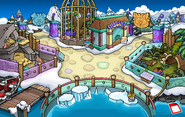 Puffle Party 2016