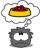 A hungry Black Puffle