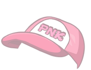 Custom PNK Hat