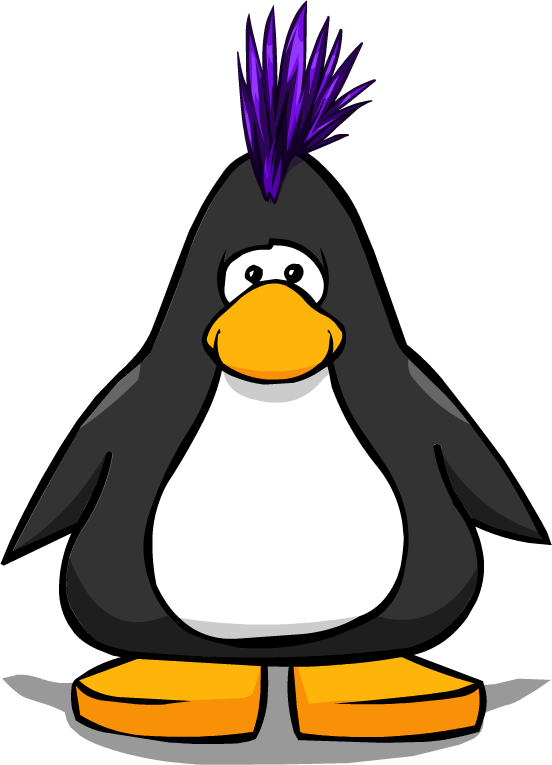 The Punkhawk | Club Penguin Wiki | Fandom