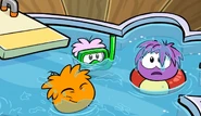 An Orange Puffle with a Purple Puffle and a Pink Puffle, in a pool