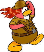 As she appears in the animation for the "Quest for the Golden Puffle" power card