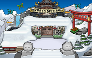 Dig Out the Dojo (during reopening of Dojo)