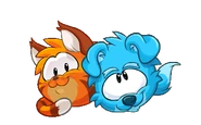 The Orange Tabby Cat along with the Blue Border Collie