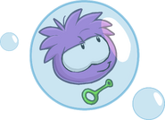 A Purple Puffle in a bubble