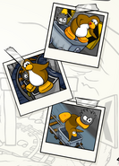 Stampbook pictures of a Black Puffle Cart Surfing