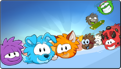 X 上的Club Penguin Puffles：「What was your most favourite Mini