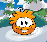 When transformed as an orange puffle