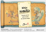 Ninjas Wanted