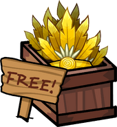 The free item box