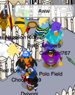 Polo Field spotted in Club Penguin