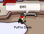 Asi se vistio en Operación puffle (alas y aletas)