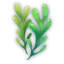 Collectible seaweed