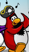 Rockhopper dance