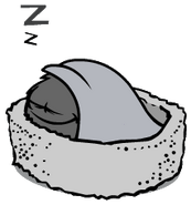 Another Black Puffle sleeping.