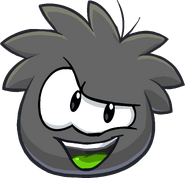 Black Puffle