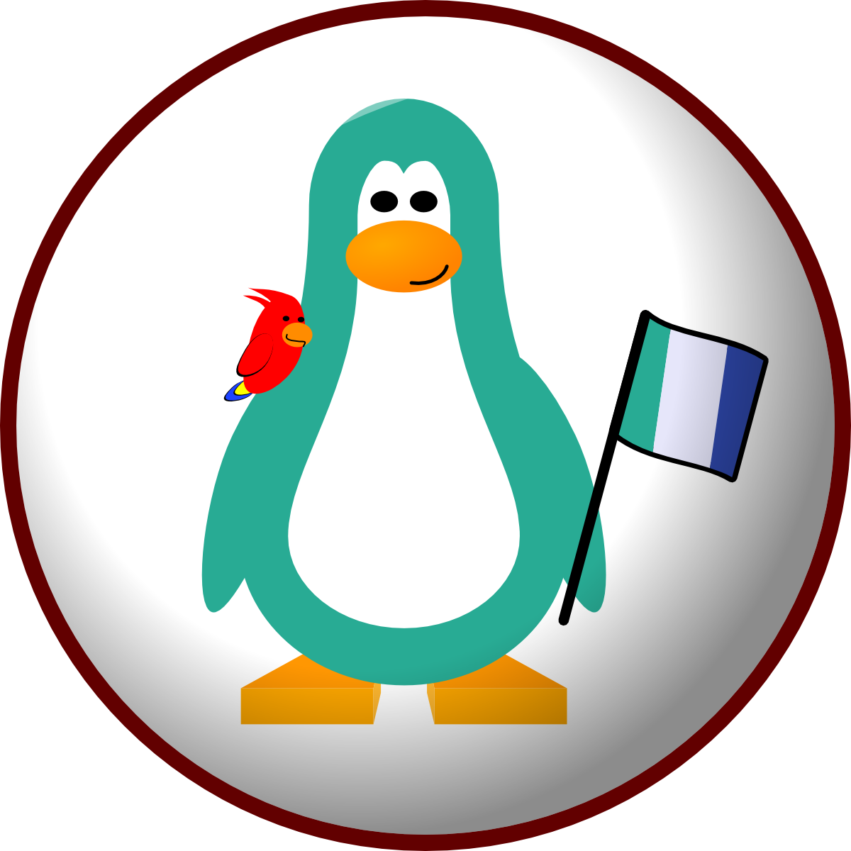 Flag, Club Penguin Wiki