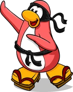 As seen on the Great Game postcard, along with the Black Ninja Belt and Geta Sandals