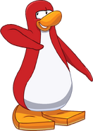 Pinguino Rojo5