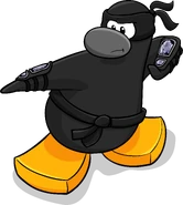As seen in issue 314 of the Club Penguin Times, along with the Ninja Outfit and Cloud Wave Bracers