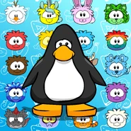 Puffle Poster on a Player Card.png (989 KB) On a Player Card